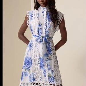 Elegant Blue and White Lace Dress